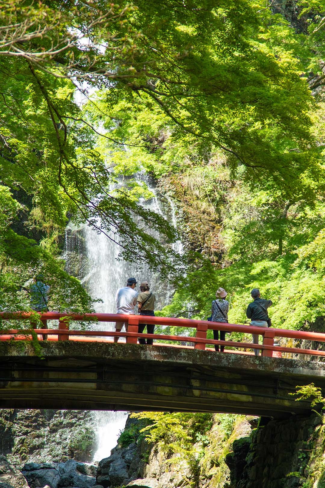 箕面_a0003166_22154388.jpg