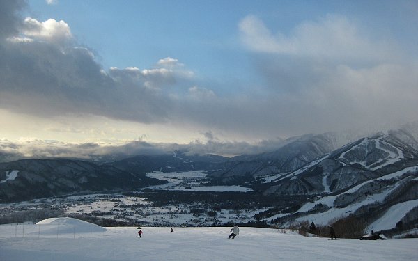 なし_a0003166_22183251.jpg