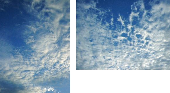 全体を見る_a0003166_221953.jpg