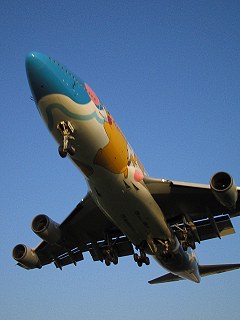 はみ出る_a0003166_22202714.jpg