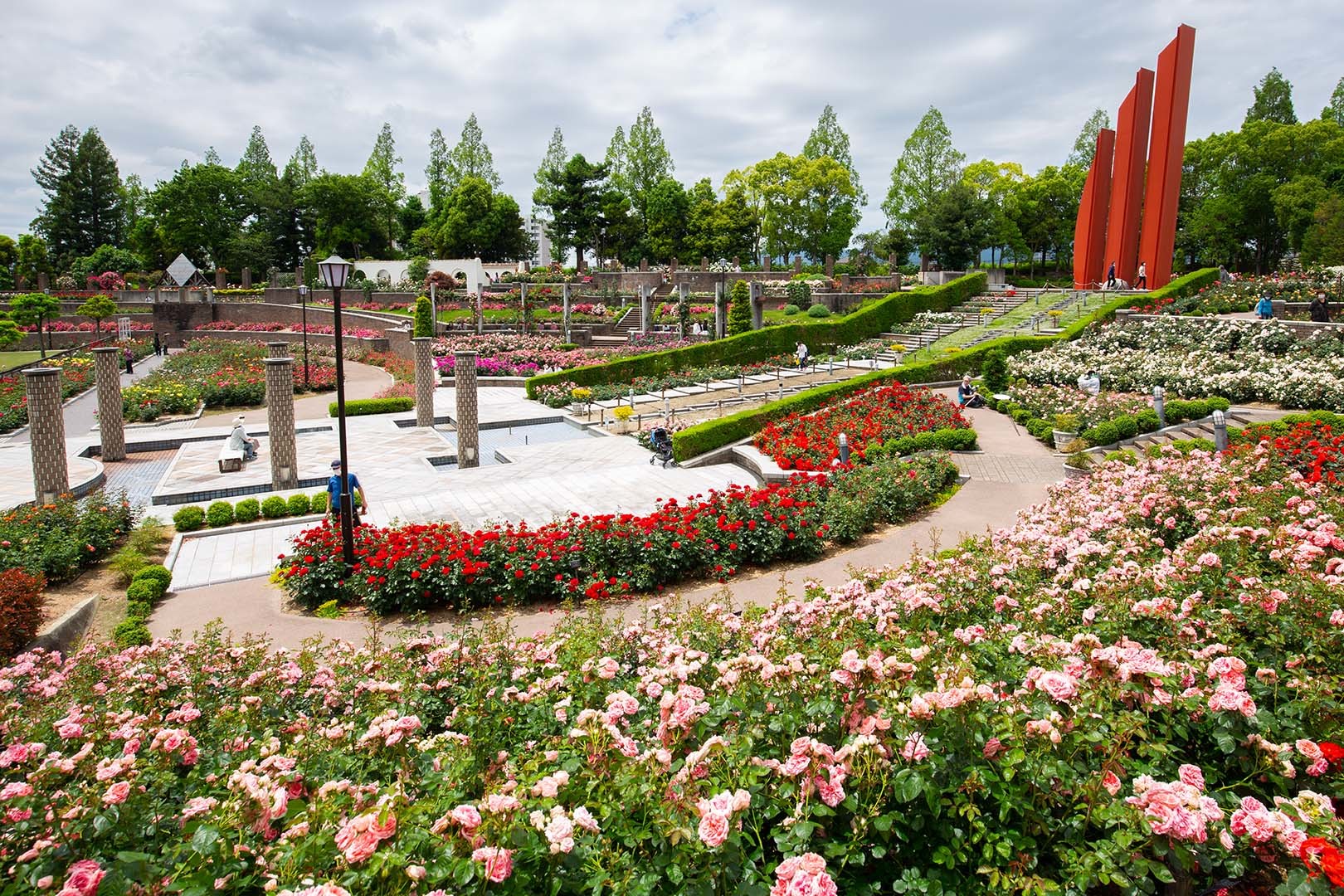荒牧バラ公園　その２_a0003166_22203600.jpg
