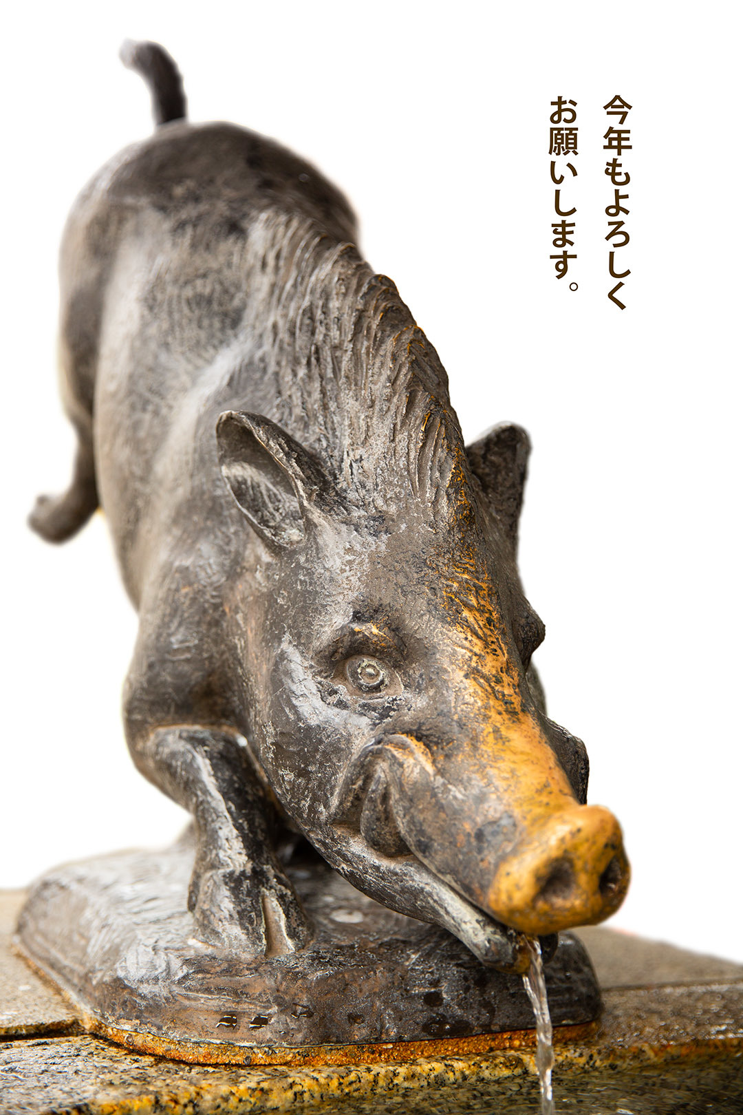 いのしし_a0003166_22230196.jpg