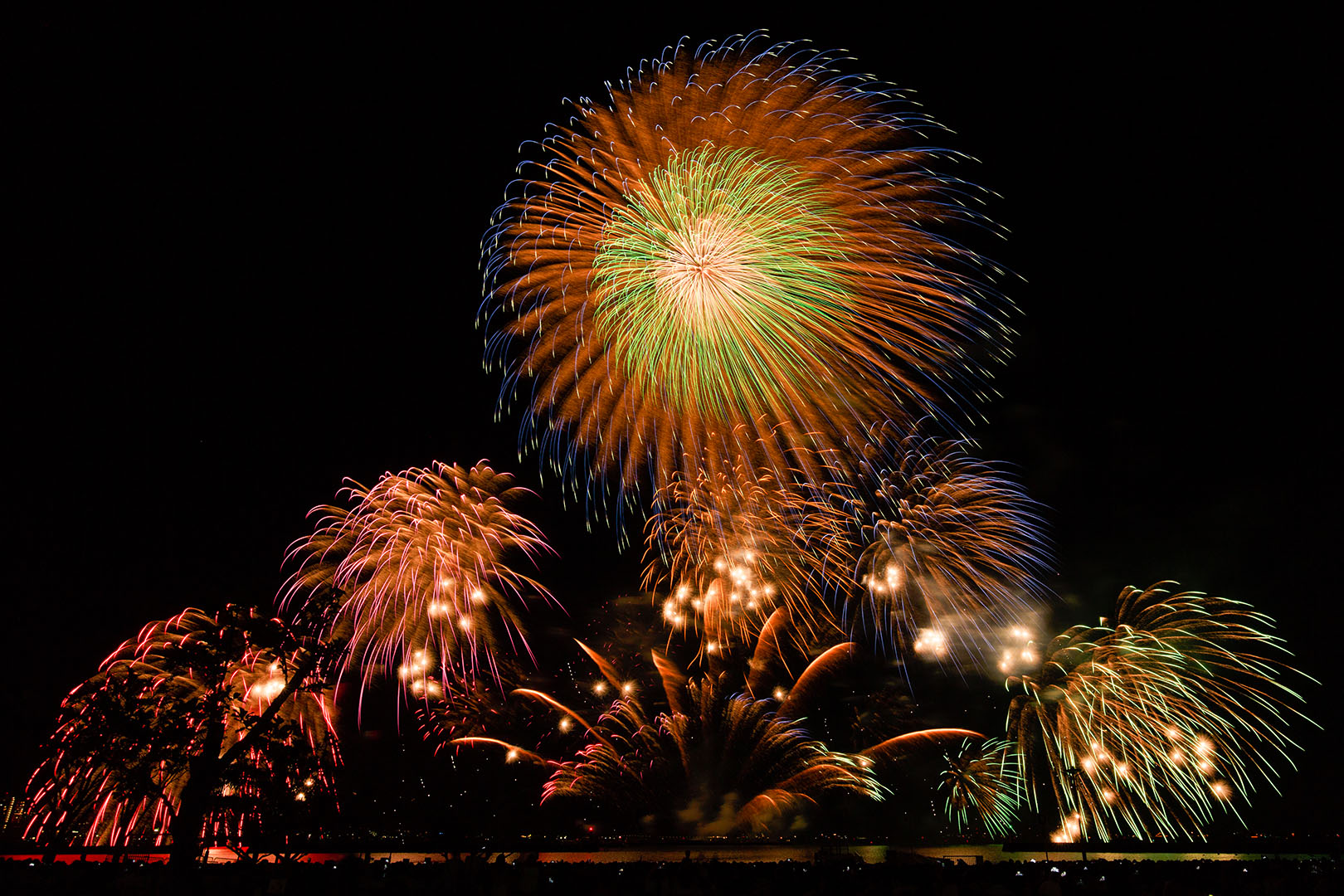 びわ湖大花火大会_a0003166_22255087.jpg