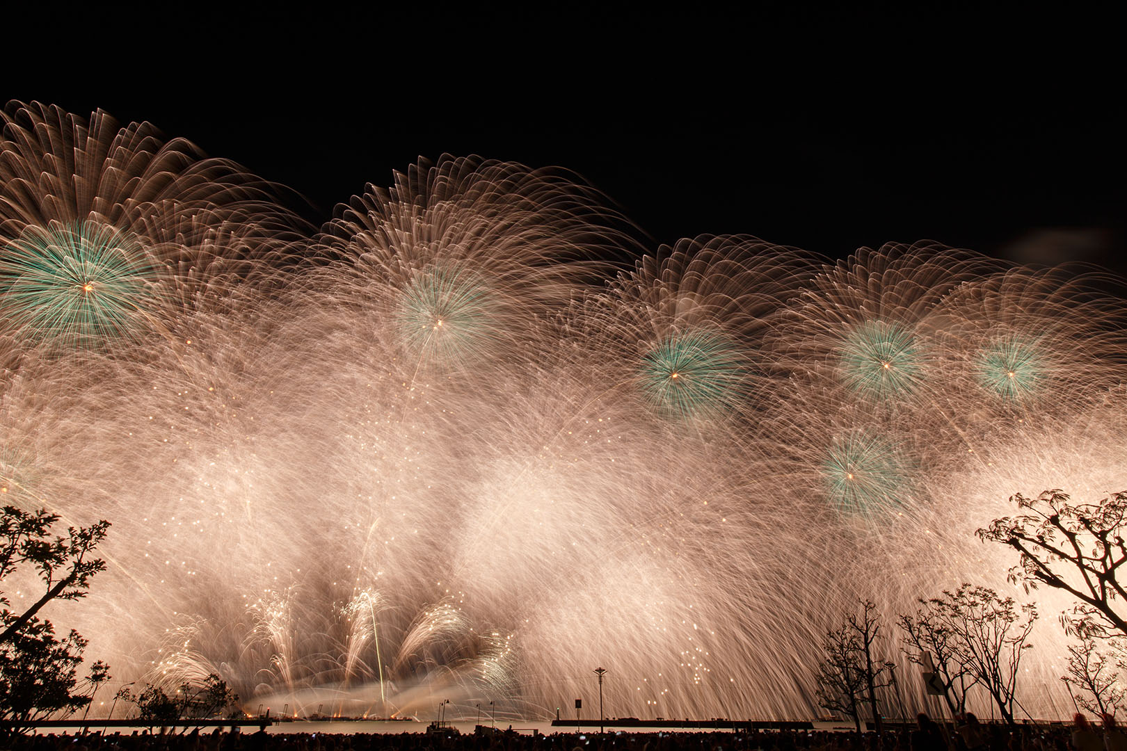 びわ湖大花火大会_a0003166_22255120.jpg
