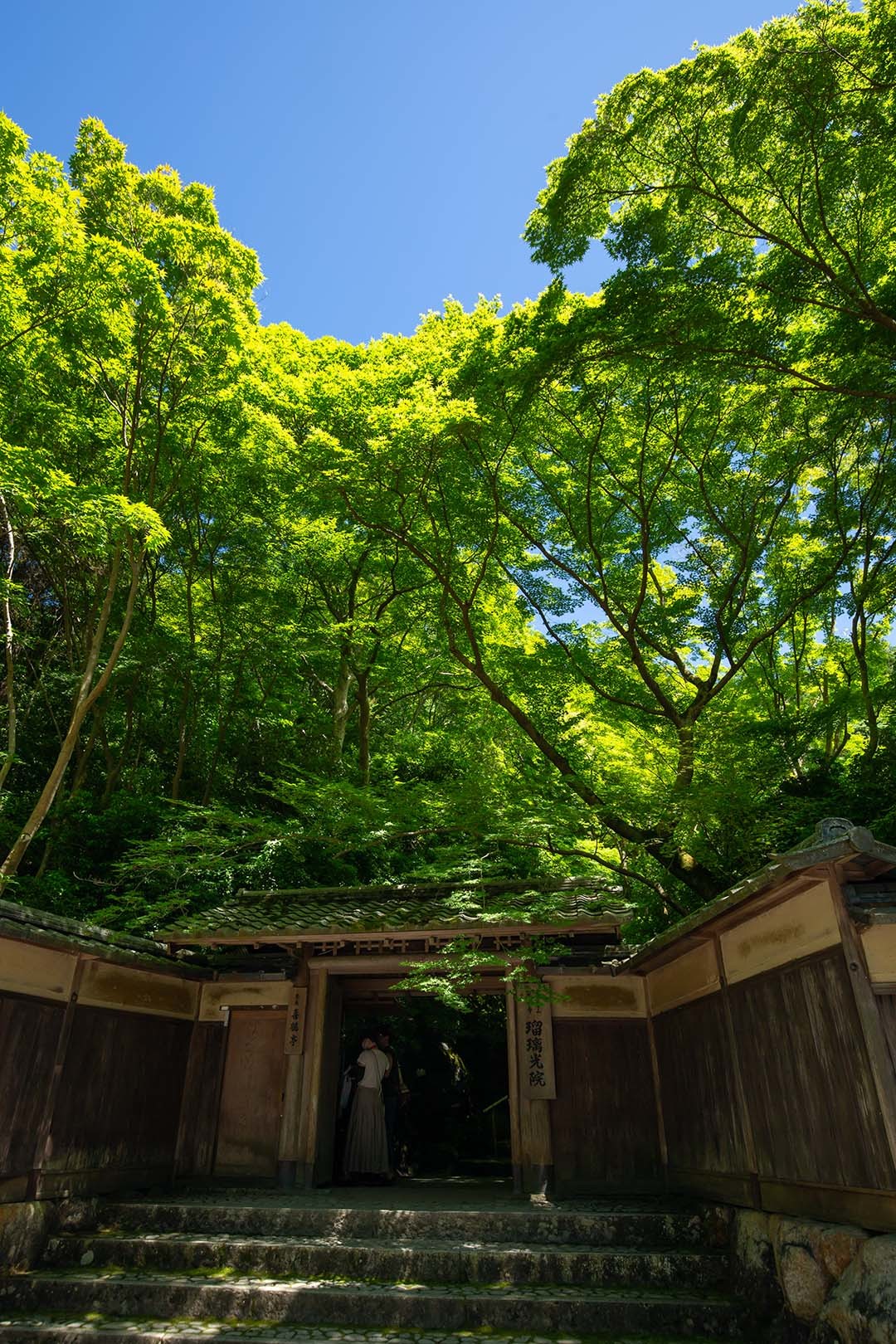 瑠璃光院_a0003166_22270916.jpg