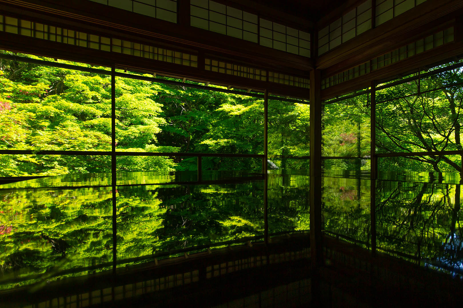 瑠璃光院_a0003166_22270932.jpg
