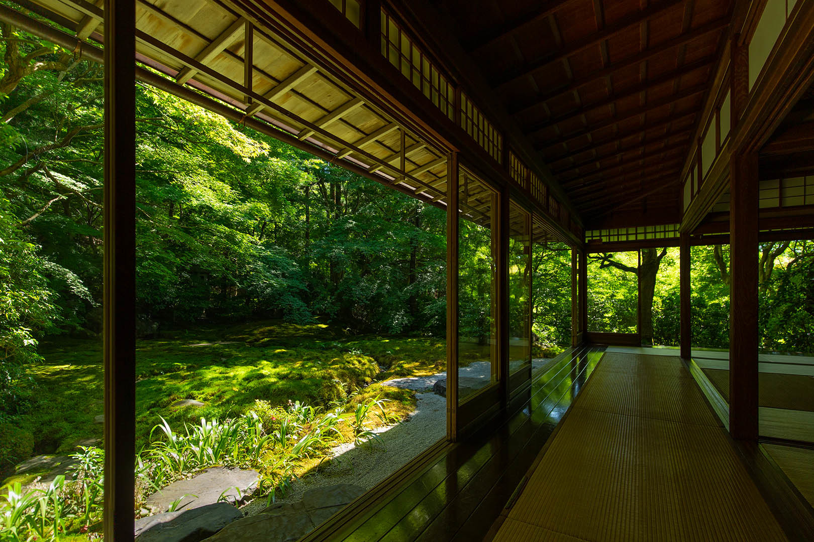 瑠璃光院_a0003166_22271009.jpg