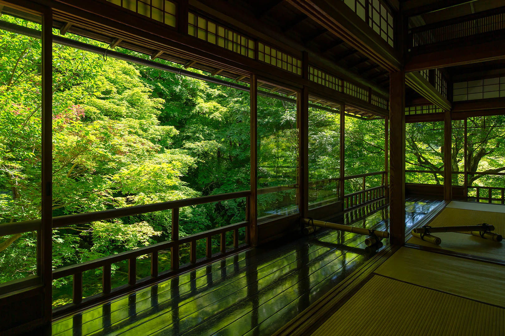 瑠璃光院_a0003166_22271124.jpg