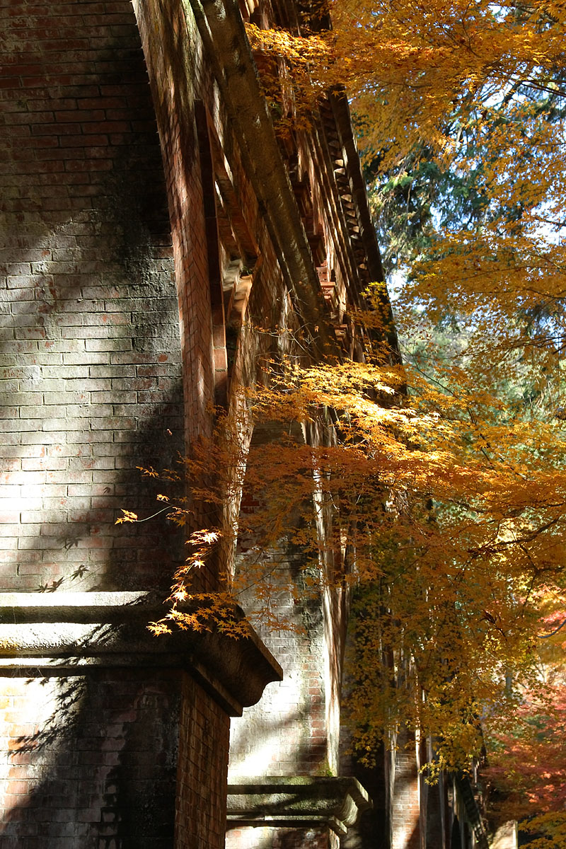 もみじ（永観堂、南禅寺、青蓮院門跡）_a0003166_22275691.jpg