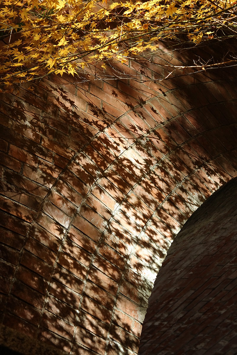 もみじ（永観堂、南禅寺、青蓮院門跡）_a0003166_22275933.jpg