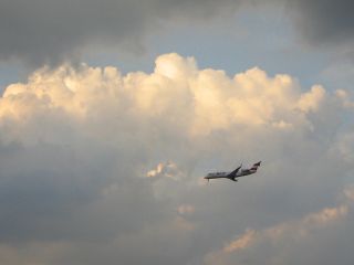 なし_a0003166_22284154.jpg
