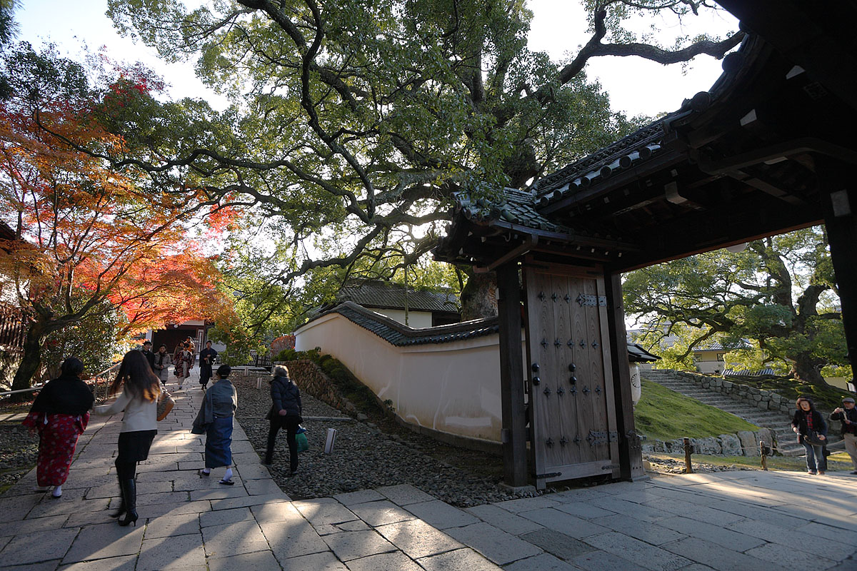もみじ（永観堂、南禅寺、青蓮院門跡）_a0003166_2228766.jpg