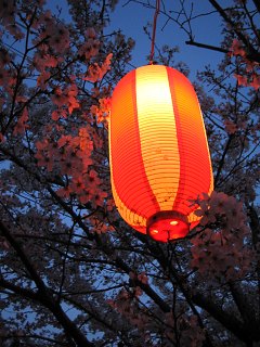ちょうちん_a0003166_2230188.jpg