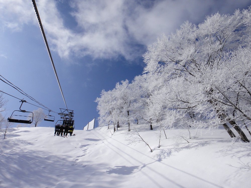 樹氷_a0003166_22321880.jpg