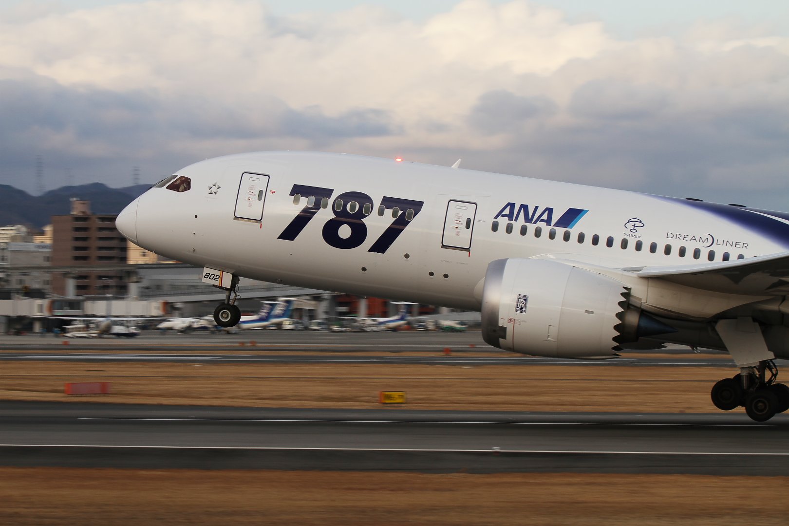 ボーイング７８７　（伊丹スカイパーク）_a0003166_2233047.jpg