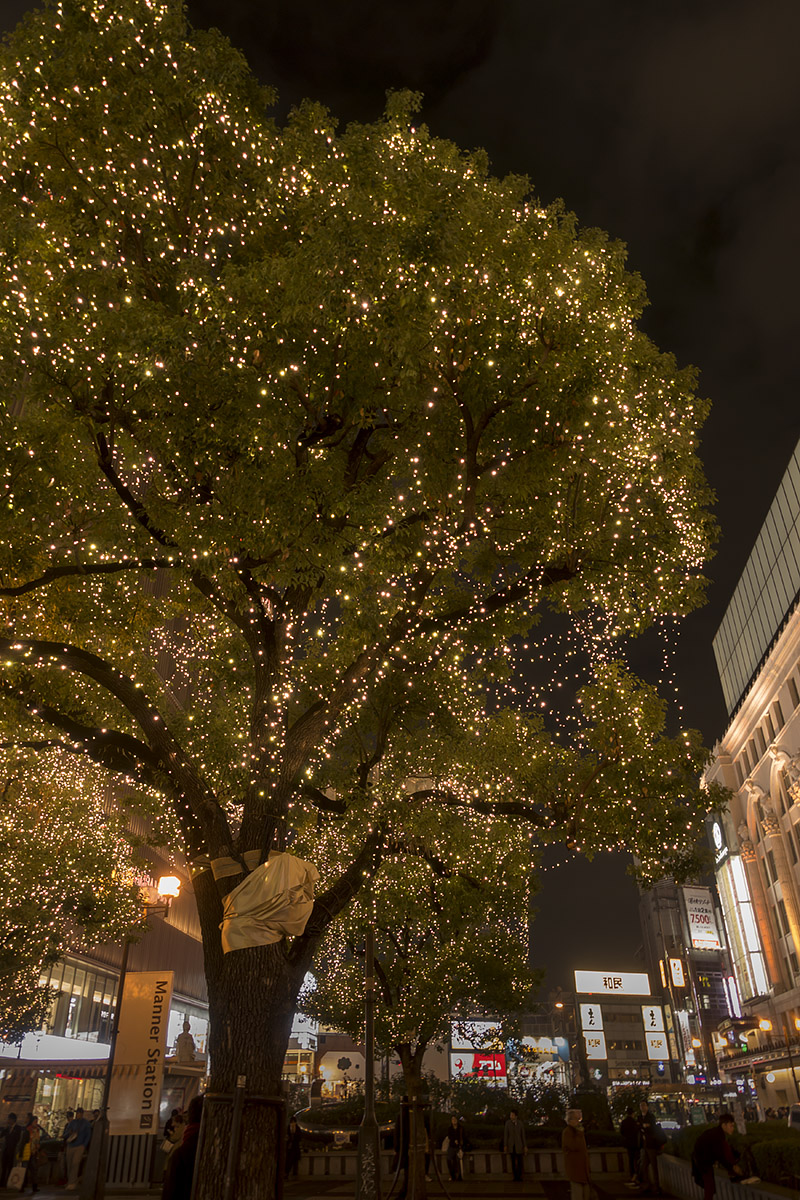 難波_a0003166_22375886.jpg