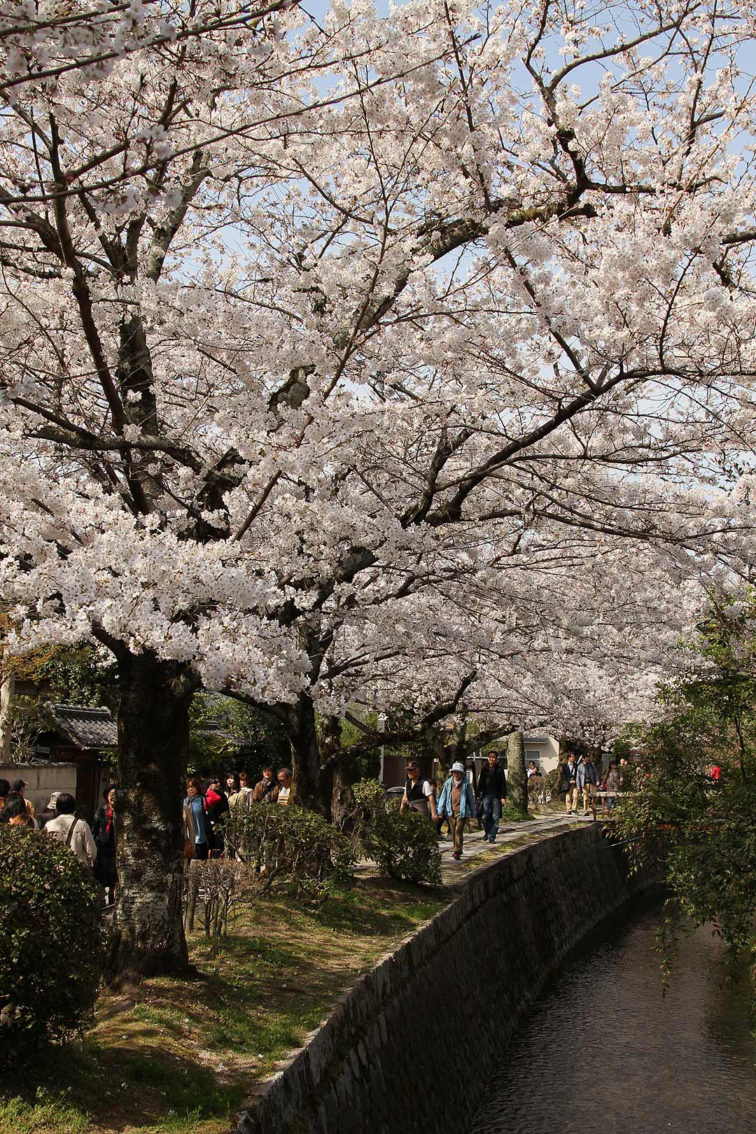 知恩院、南禅寺、哲学の道_a0003166_22391493.jpg