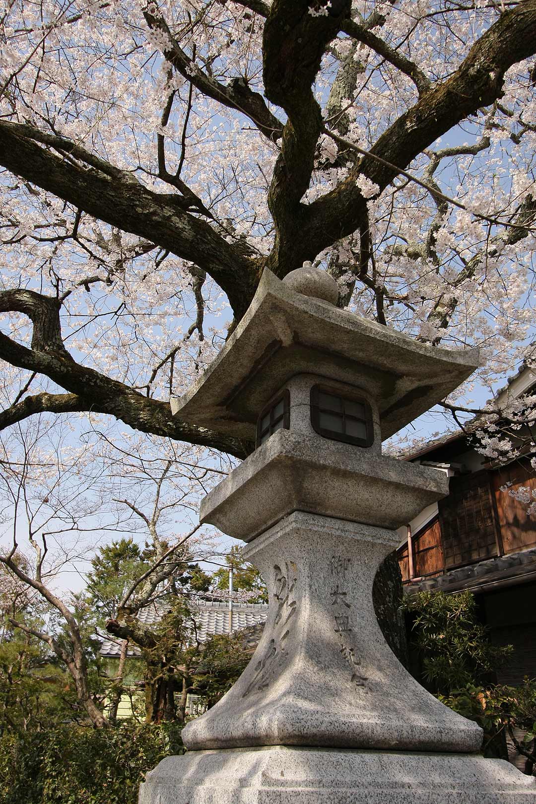 知恩院、南禅寺、哲学の道_a0003166_22391854.jpg