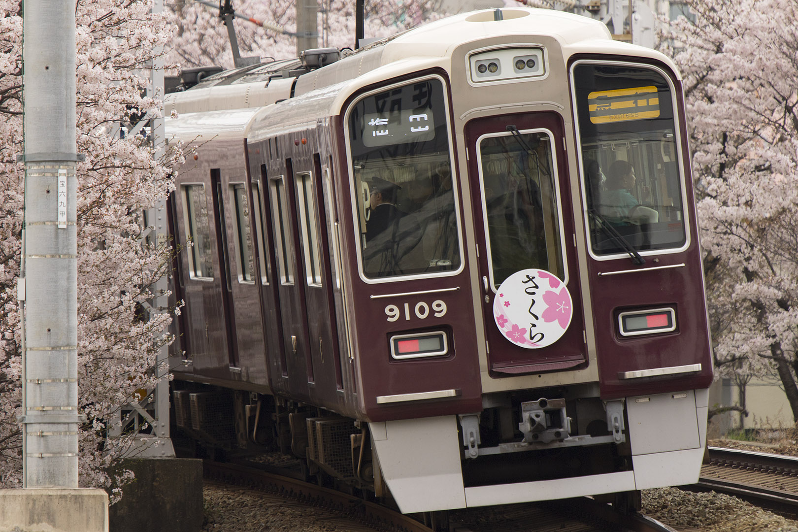 阪急　桜　（庄内駅の近く）_a0003166_2239611.jpg