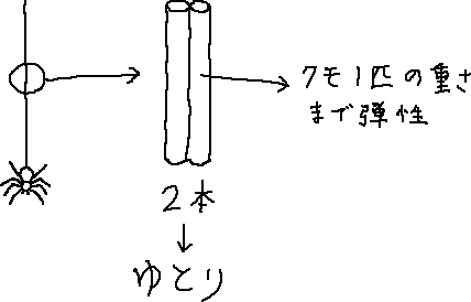 ２のゆとり_a0003166_22414881.gif