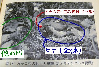 一部を切り取る_a0003166_2242179.jpg