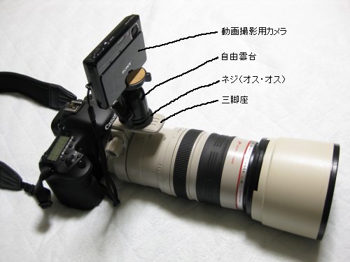 メモ　望遠レンズで写真を撮りながら動画も撮る方法_a0003166_22431486.jpg