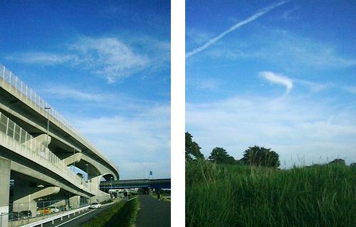 視点を変えて見えるもの_a0003166_22434.jpg