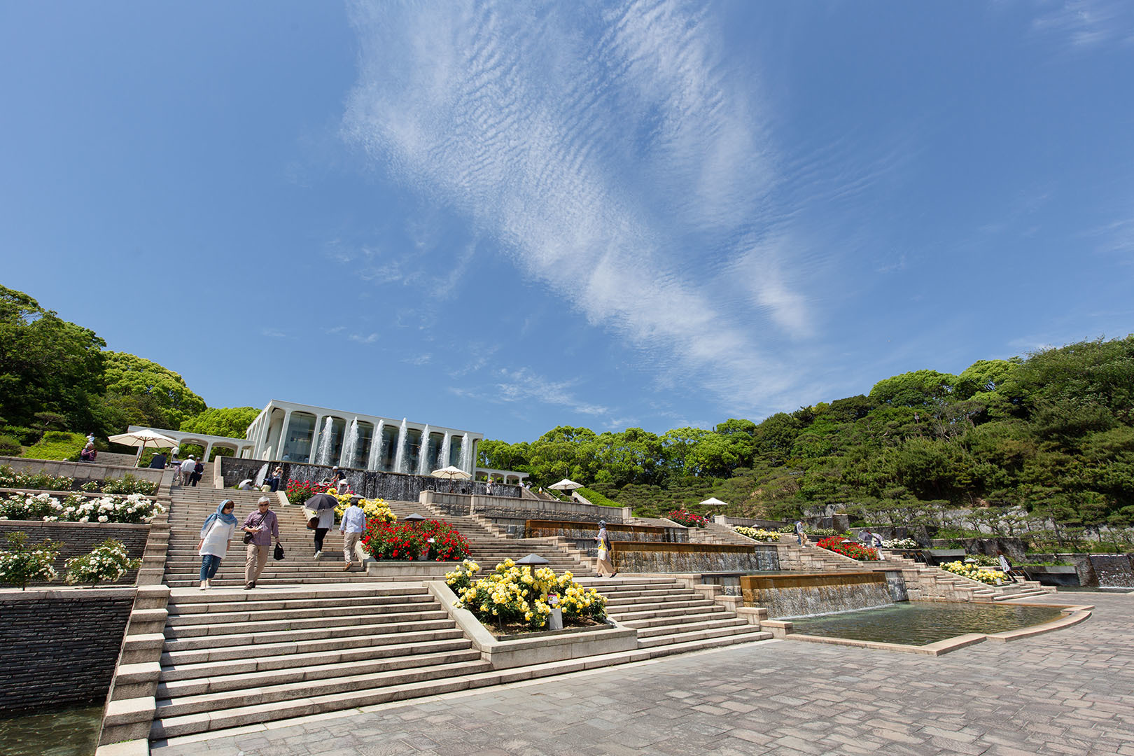 須磨離宮公園 バラなど_a0003166_22452108.jpg
