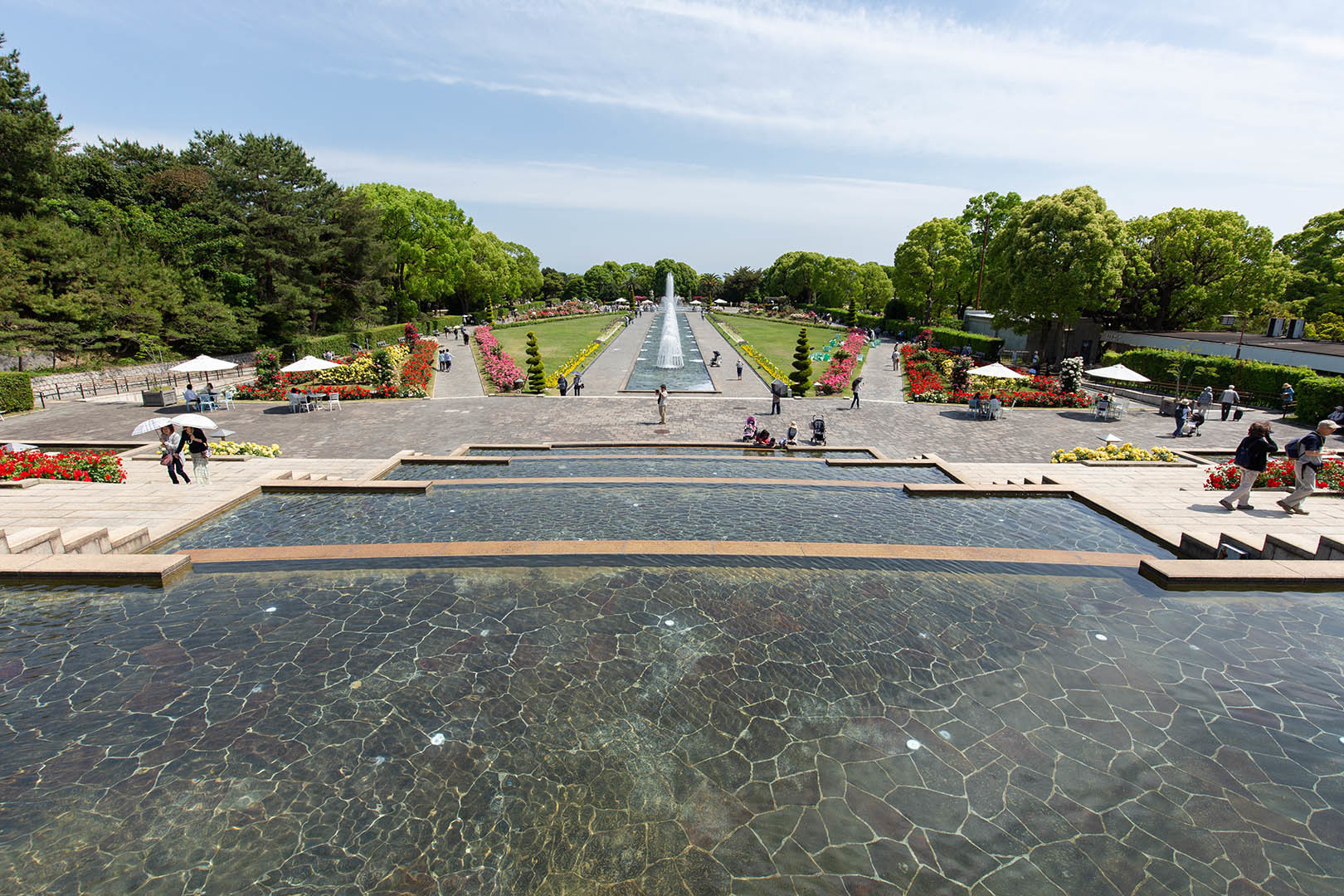 須磨離宮公園 バラなど_a0003166_22452176.jpg