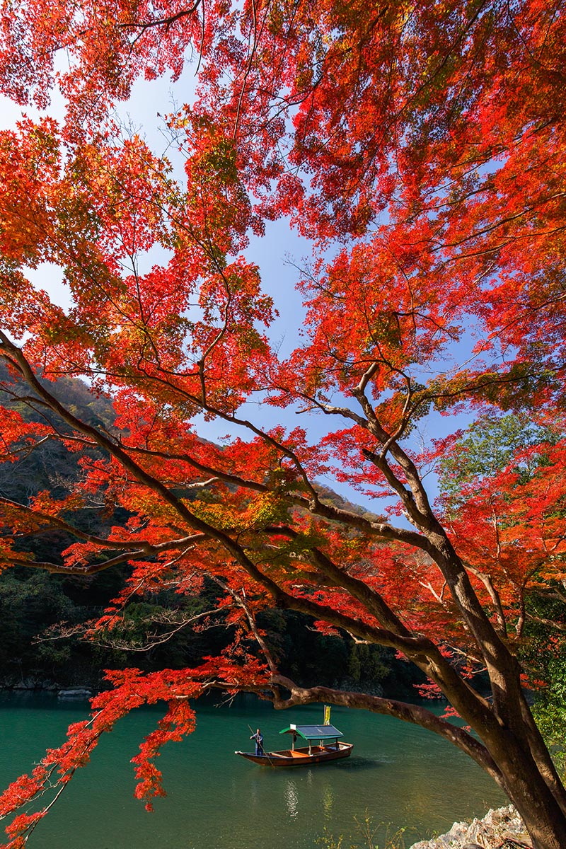 嵐山の紅葉_a0003166_22484961.jpg