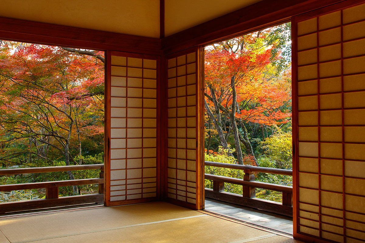 嵐山の紅葉_a0003166_22492085.jpg