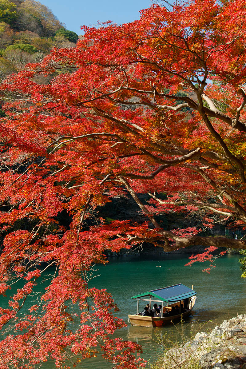 嵐山の紅葉_a0003166_22492519.jpg