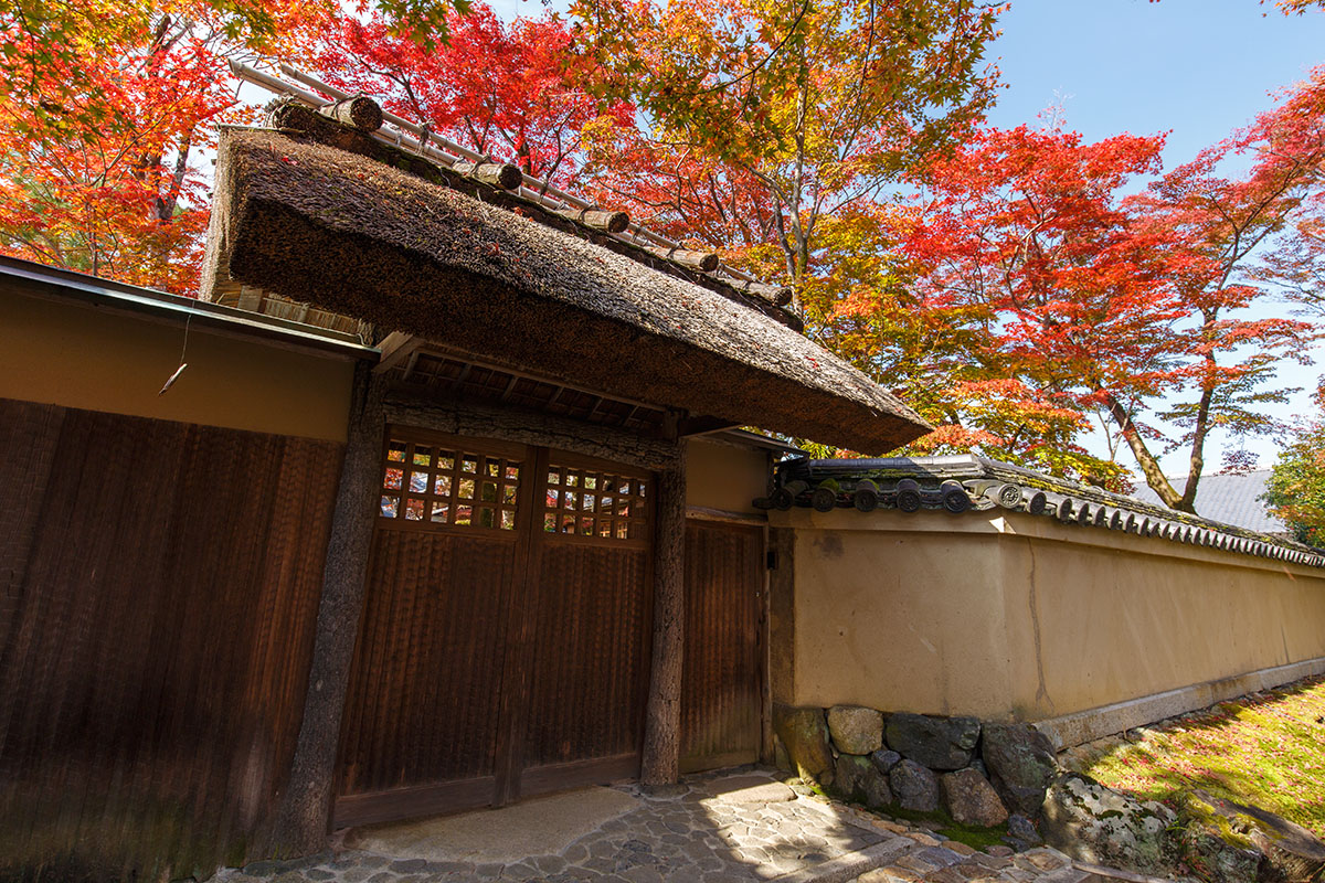 嵐山の紅葉_a0003166_2249295.jpg