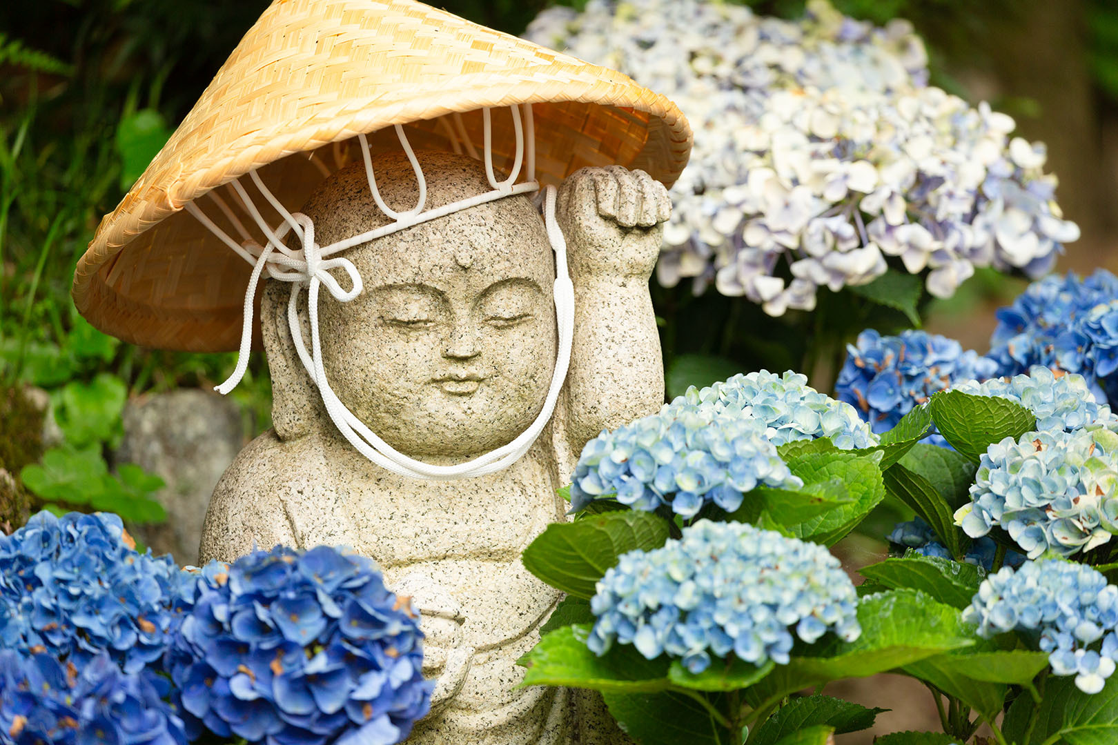 アジサイとお地蔵さん（岡寺）_a0003166_22504913.jpg