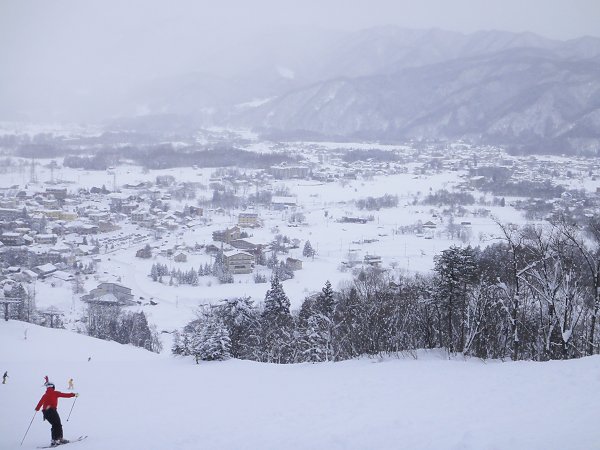 雪　（八方尾根）　１月２３日_a0003166_2251542.jpg