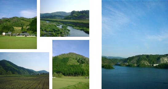 便利_a0003166_22517.jpg