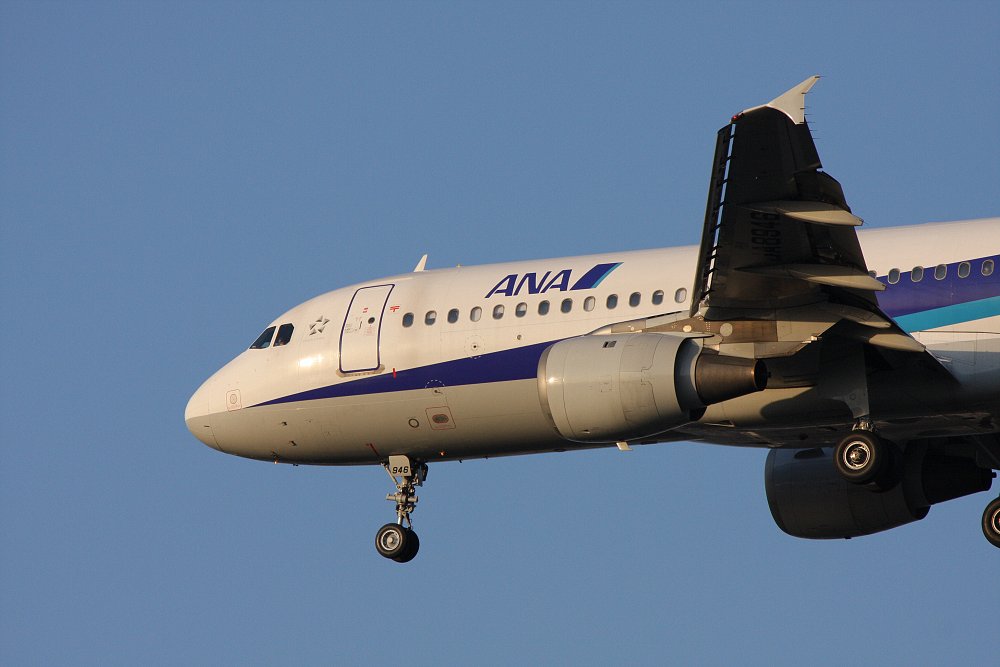 飛行機_a0003166_22533584.jpg