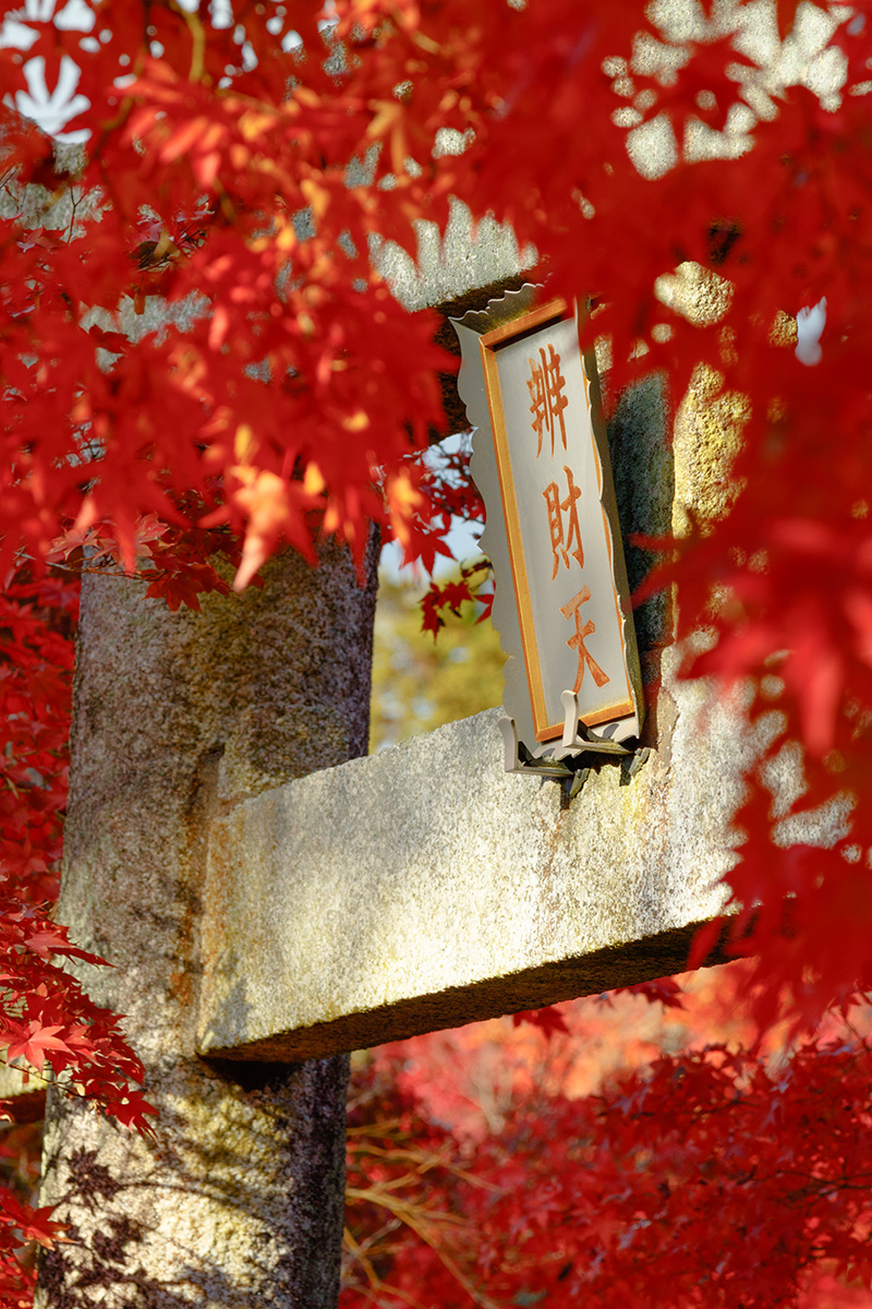 京都の紅葉 （南禅寺、永観堂など）_a0003166_22534523.jpg