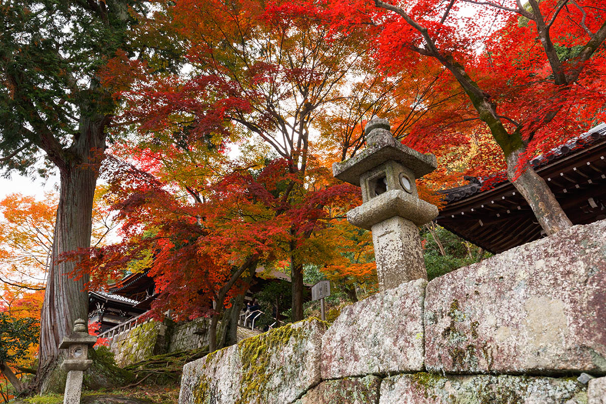 京都の紅葉 （南禅寺、永観堂など）_a0003166_22534595.jpg