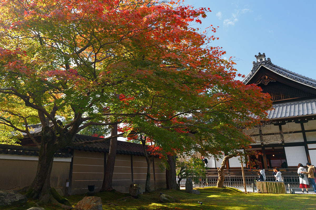 京都の紅葉 （南禅寺、永観堂など）_a0003166_22534731.jpg