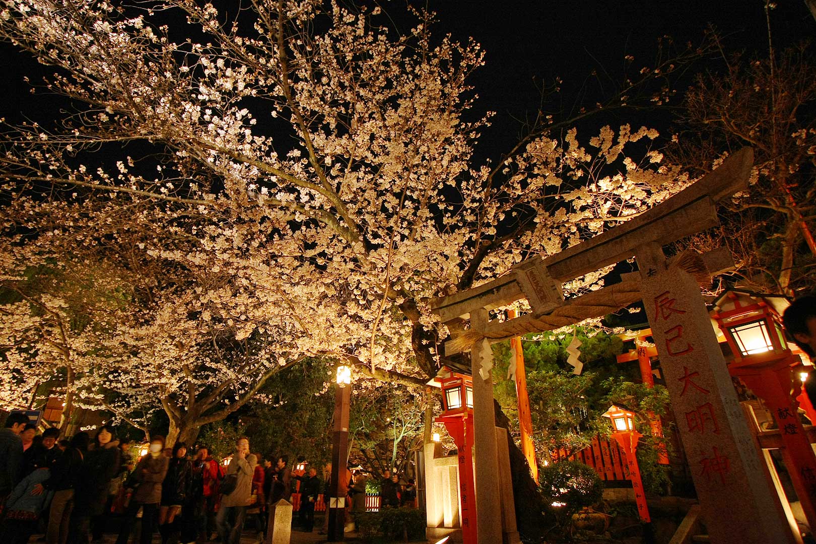 祇園 桜_a0003166_2254273.jpg