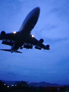 下手な鉄砲数打っても当たらない、うまい鉄砲一発で当たる_a0003166_22563049.jpg