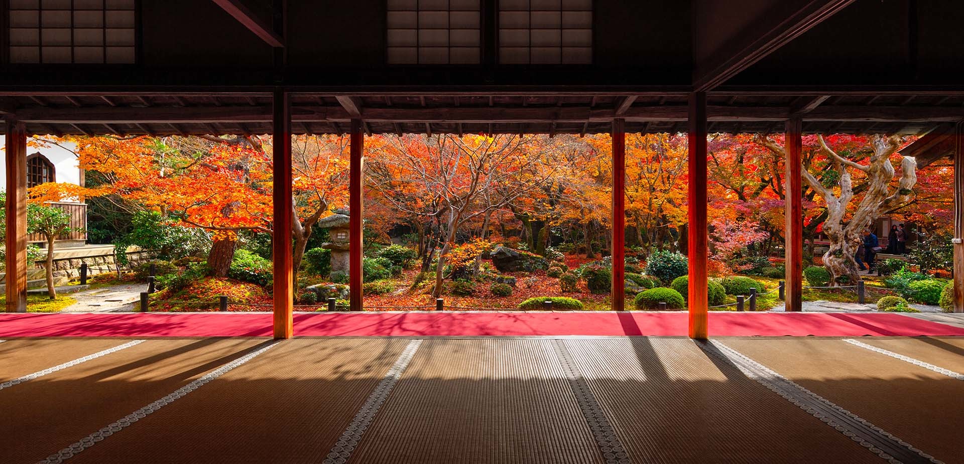 圓光寺の紅葉_a0003166_22570500.jpg