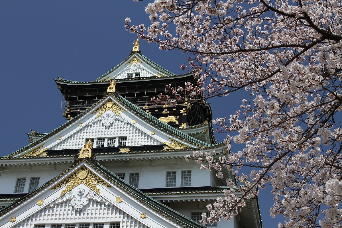 桜_a0003166_22584789.jpg