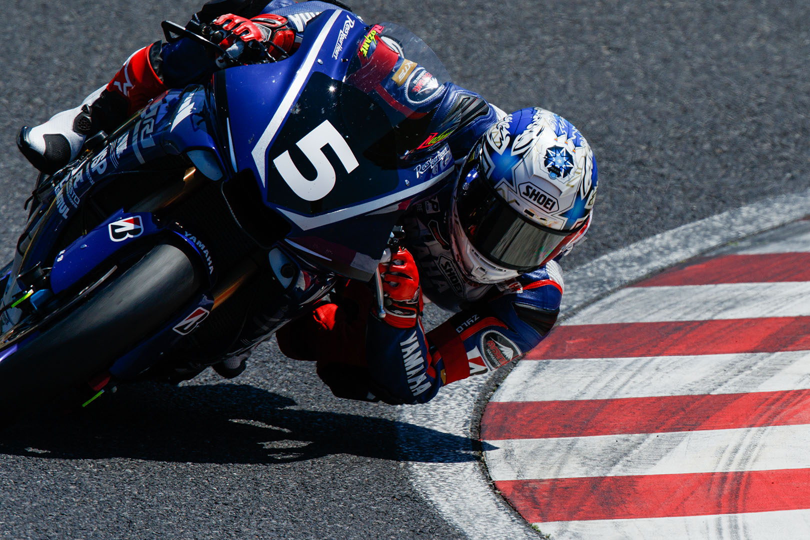 鈴鹿2＆4レース_a0003166_225852.jpg