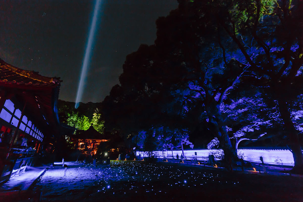 京都の紅葉、ライトアップ （青蓮院門跡、嵐山）_a0003166_22595083.jpg