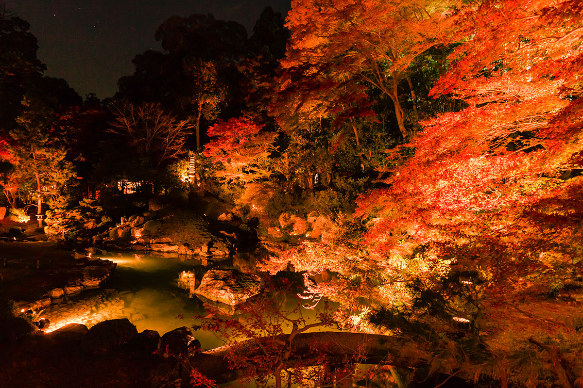 京都の紅葉、ライトアップ （青蓮院門跡、嵐山）_a0003166_22595721.jpg
