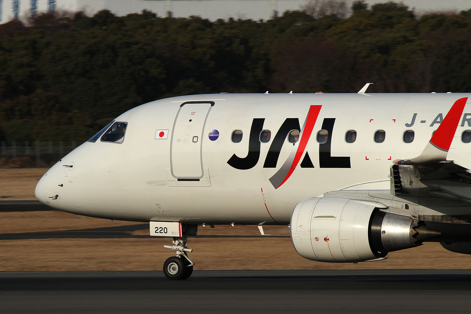 飛行機 （大阪空港、猪名川堤防、伊丹スカイパーク）_a0003166_2259875.jpg
