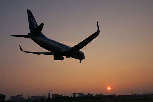 飛行機_a0003166_2281761.jpg