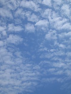 雲_a0003166_2291714.jpg